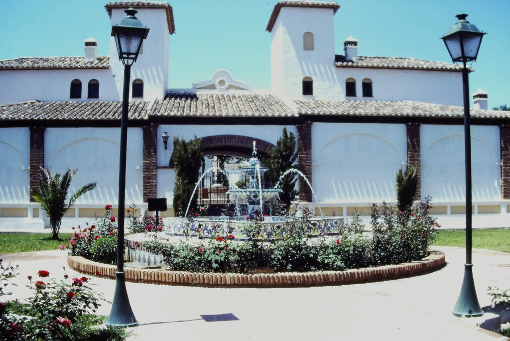 パティオ・植物・噴水